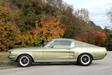 Ford Mustang Fastback1967