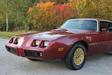 Pontiac Trans Am 6,6 1979